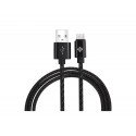 Cable USB Type C Noir 1M