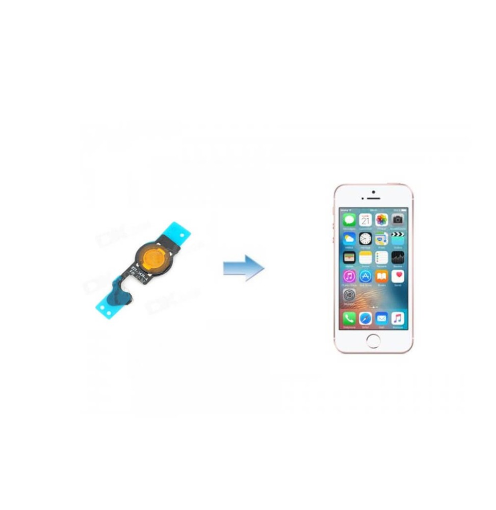Changement bouton Home iPhone 6 / 6+ Changement bouton Home iPhone 6 / 6+