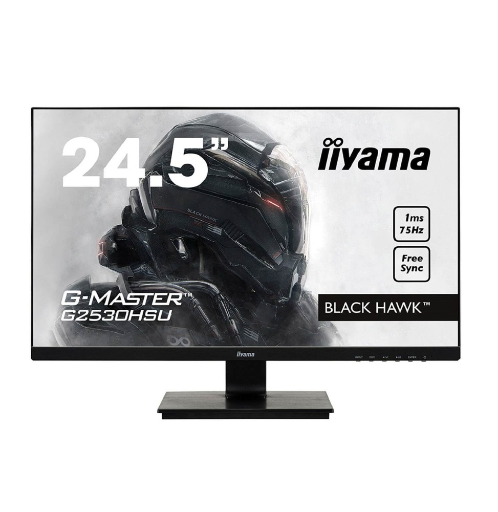 Moniteur IIYAMA Black Hawk 24,5" (62,2 cm) HDMI 1920 x 1080 Noir