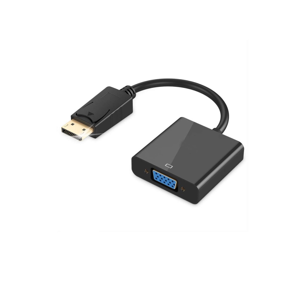 Adaptateur DisplayPort vers VGA Adaptateur DisplayPort vers VGA