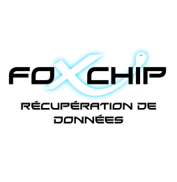 Devis Récupération de Données Disque Dur Endommagé