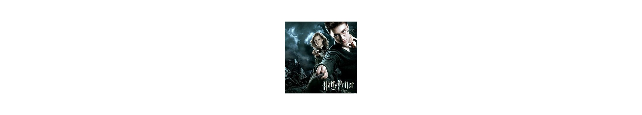 Catégorie Harry Potter - FOXCHIP : Figurine Harry Potter Sonore - 30cm , Réplique Baguette Harry Potter	 , Porte Clé - Harry Pot
