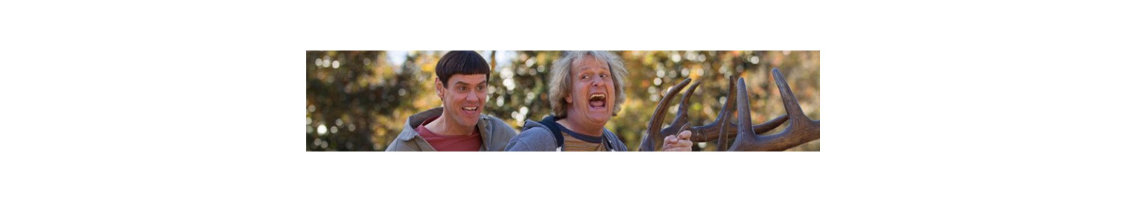 Dumb & Dumber